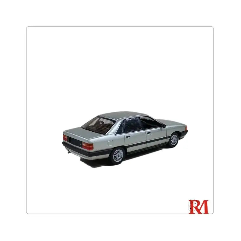 Rhino Model RM 1:64 100 C3 1989 Silver / Black limited999 Diecast Model Car